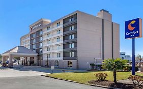 Comfort Inn University Wilmington Nc